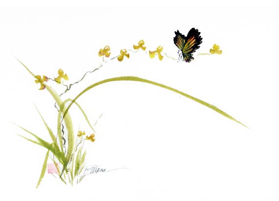 TheOrchidandButterly_16x20_DianaMarra